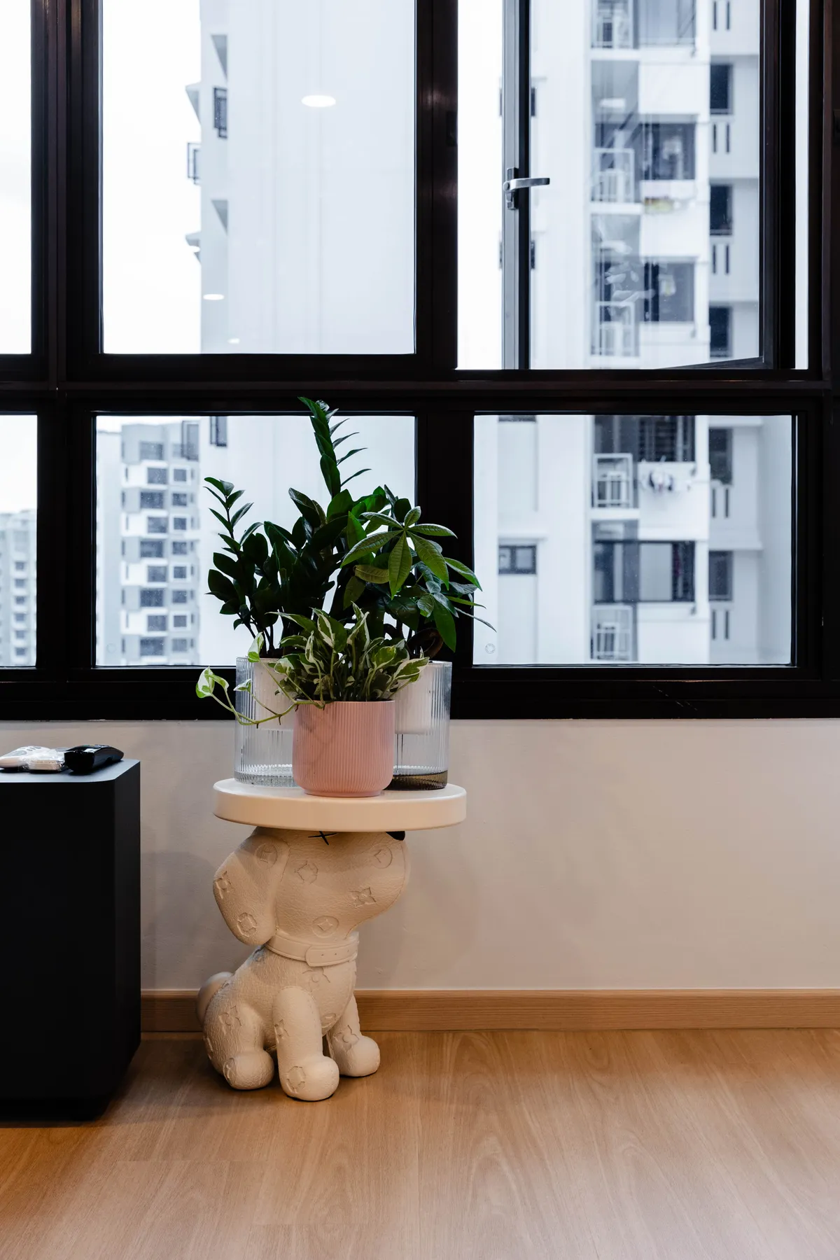 Plant by the window with warm daylight